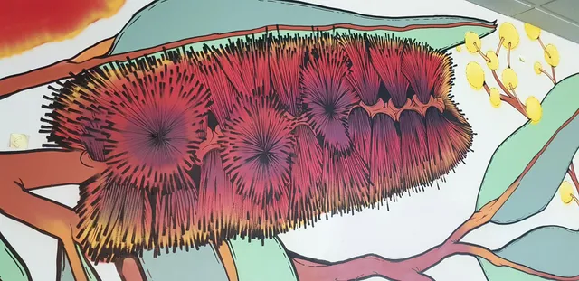 Mural of a stylized red Banksia flower with bold black outlines and green leaves