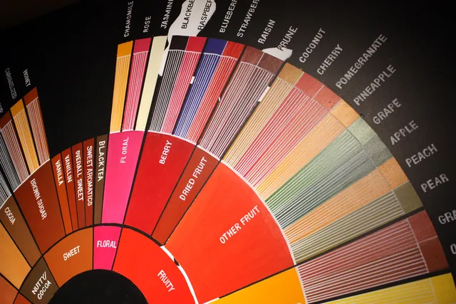 Close up details fro SCAA 2016 Coffee Flavour Wheel hand painted onto trendy inner city cafe wall