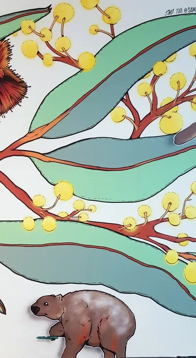 Mural detail of a wombat beneath eucalyptus leaves and yellow wattle flowers, painted with bold black outlines