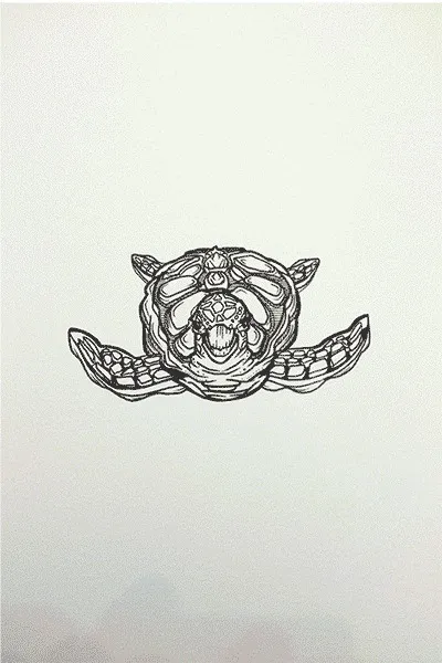 Black ink drawing of a sea turtle facing forward with extended flippers and bold line work