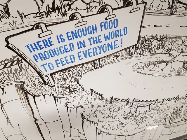 Whiteboard drawing of a landscape and billboard reading THERE IS ENOUGH FOOD PRODUCED IN THE WORLD TO FEED EVERYONE!