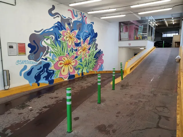 Mural of stylized pink flowers and swirling blue abstract shapes painted on a white wall beside a carpark ramp