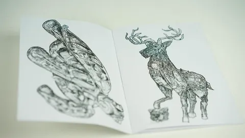 Open zine featuring intricate black and white ink drawings of a turtle and a stag
