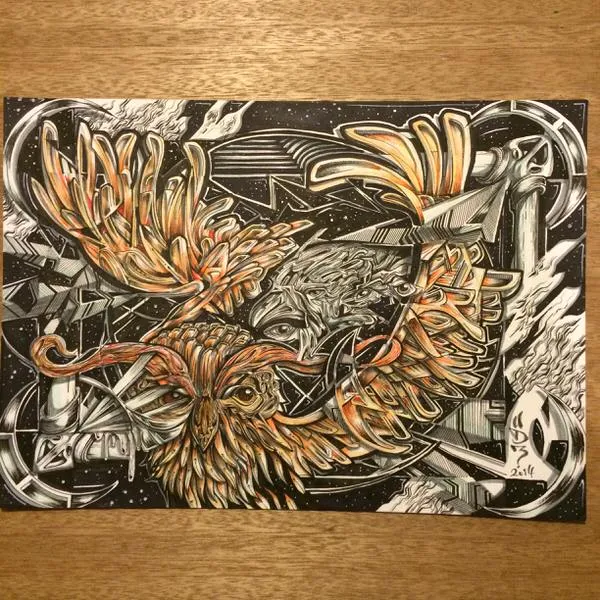 Intricate ink drawing of a cosmic owl and eagle with bold orange wings set against a starry black background