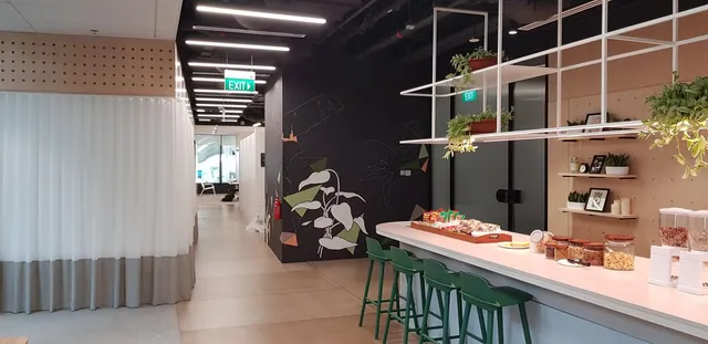 Mural of stylized white tropical plants and geometric shapes on a black wall in a modern office pantry