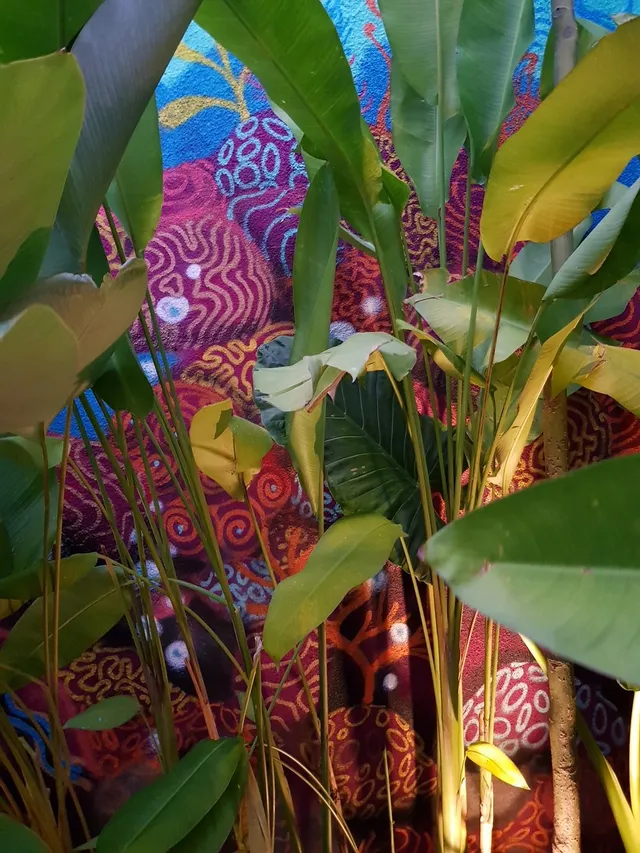 Coral reef hiding behind plants