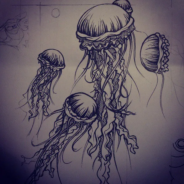 Ink drawing of four jellyfish with detailed tentacles and bold line work