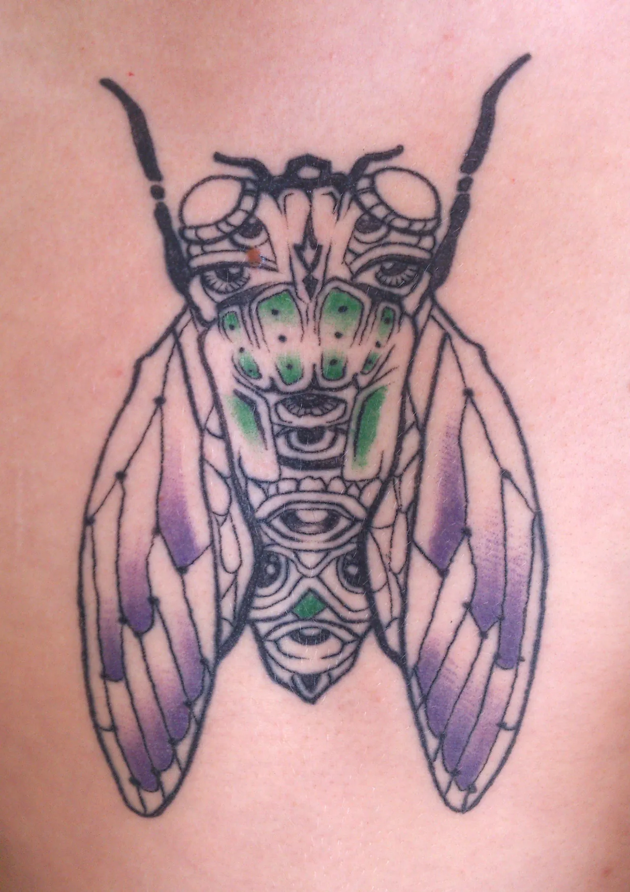 Psychedelic cicada tattoo with bold line work, green, purple, and multiple eyes