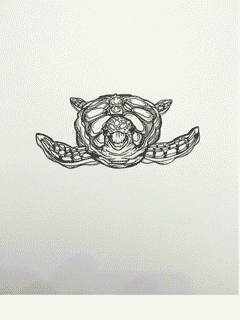 Ink drawing of a symmetrical, stylized sea turtle viewed head-on with patterned shell and flippers