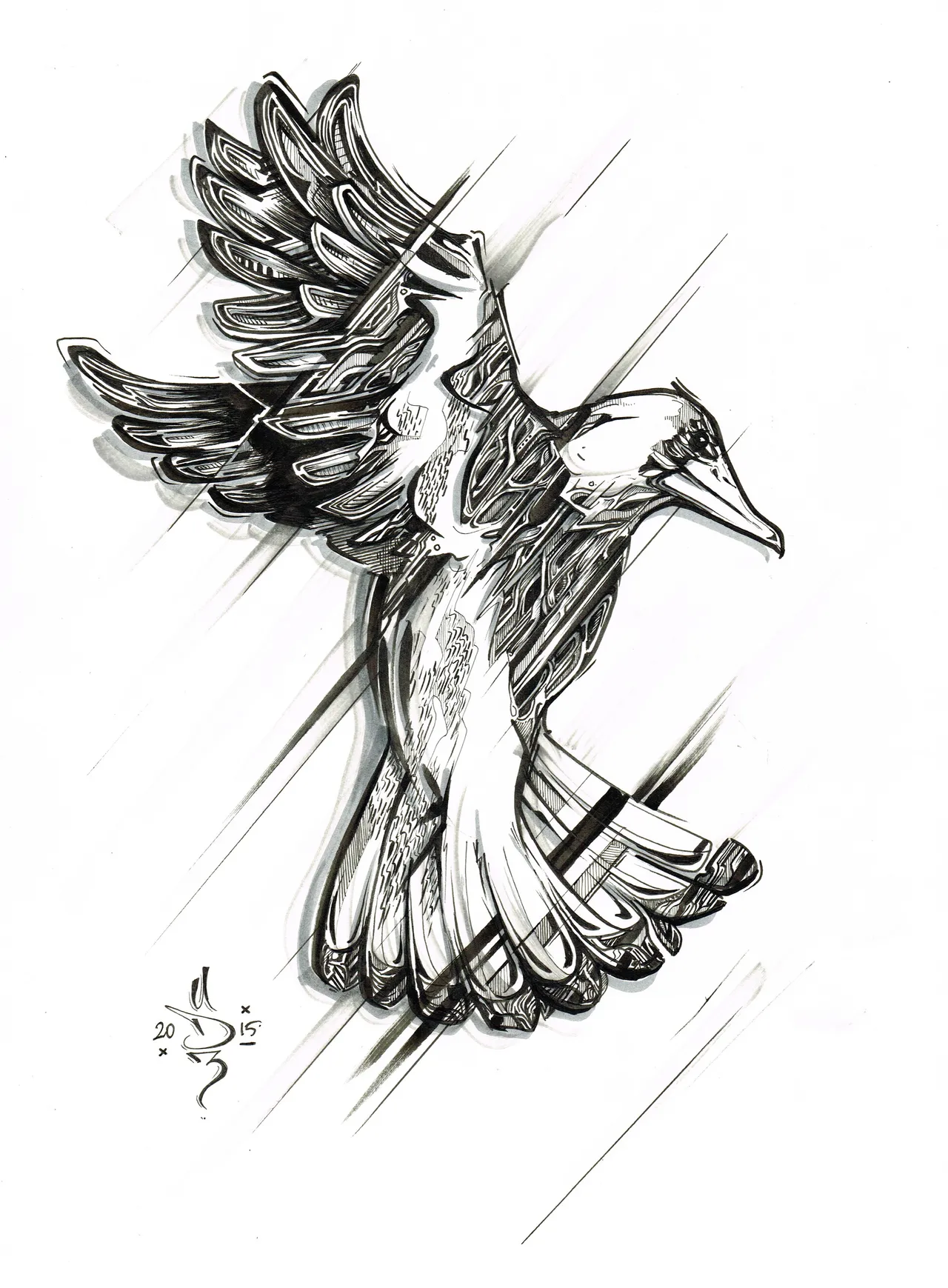 Black and white ink illustration of a flying bird detailed with intricate patterns and bold diagonal lines