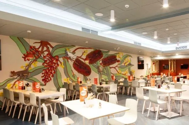 Wall mural in a dining area depicting oversized Australian native flowers, a white cockatoo, and a possum