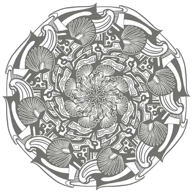 Mandala 31